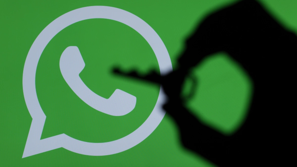The most powerful WhatsApp data filtering tool, how to identify active users on WhatsApp