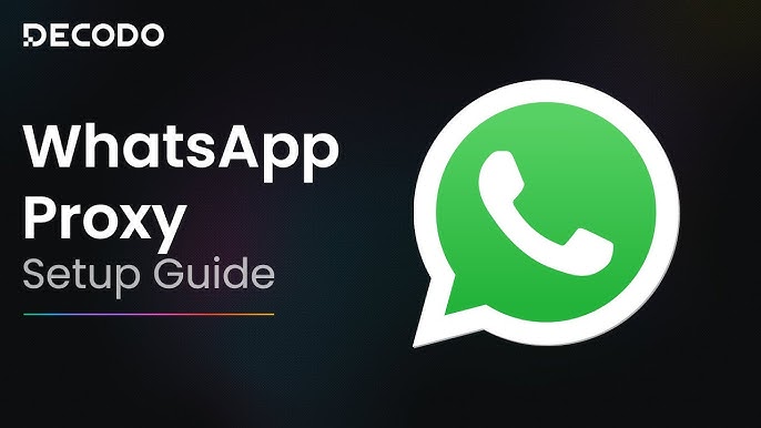 The most powerful WhatsApp data filtering tool, how to identify active users on WhatsApp